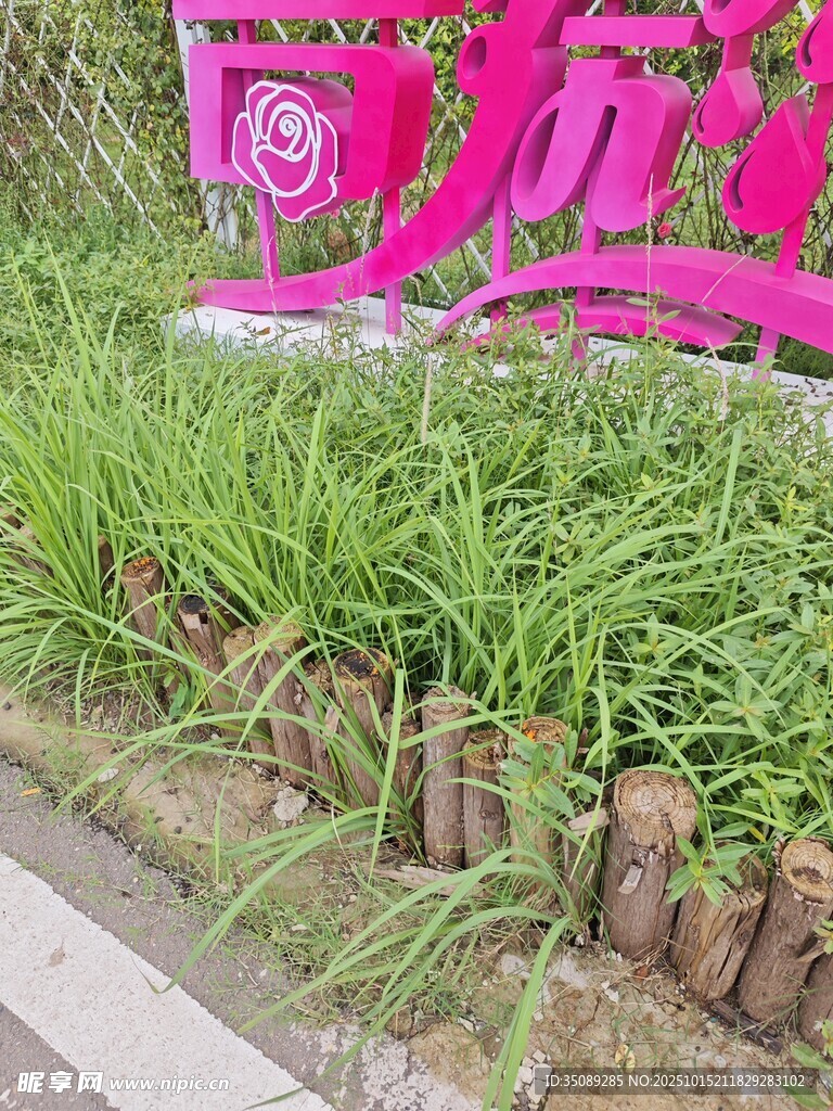 粉色景观字旁的绿植