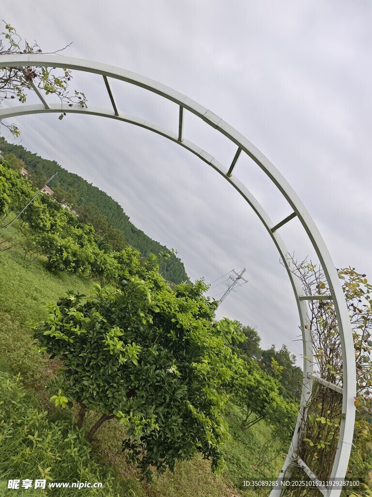 田园弧形金属架景观