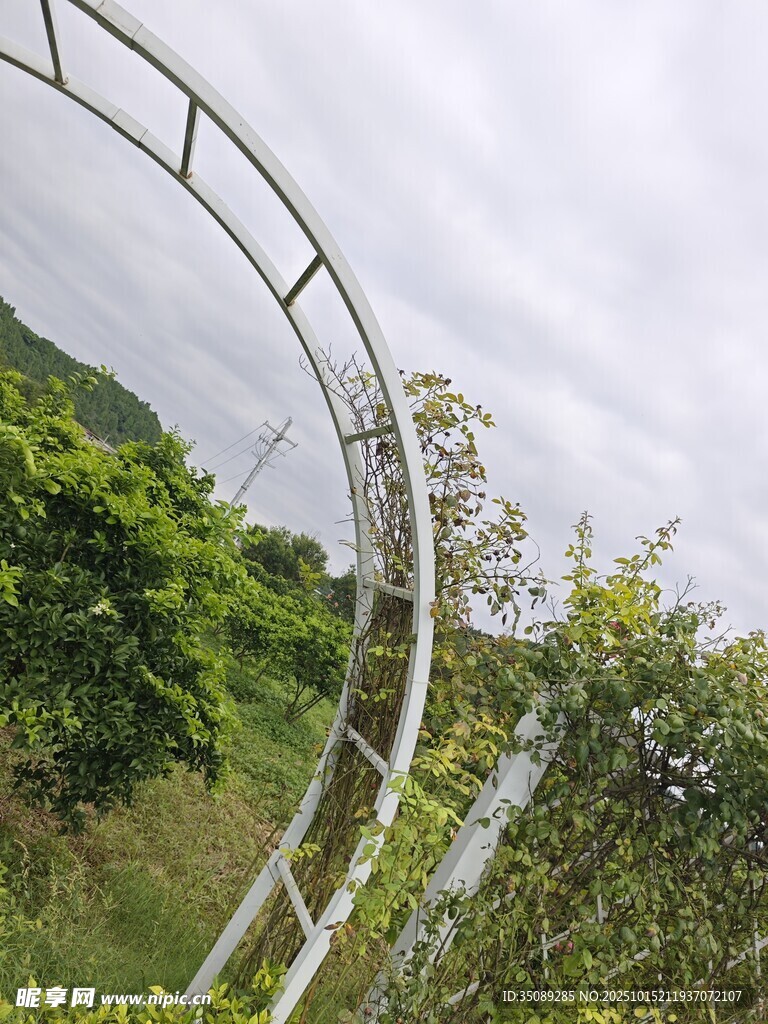 山间弧形金属结构景观