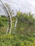 户外藤架绿植景观