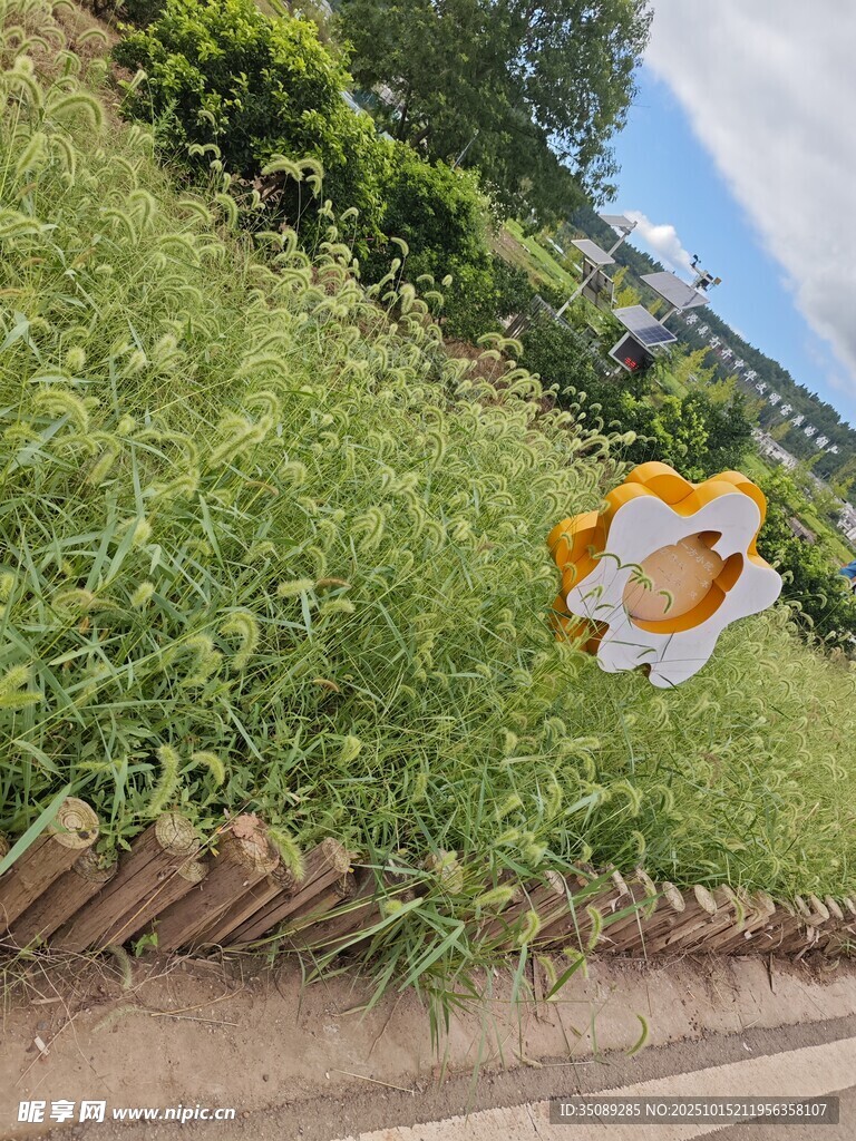 草地上的可爱卡通花朵装饰