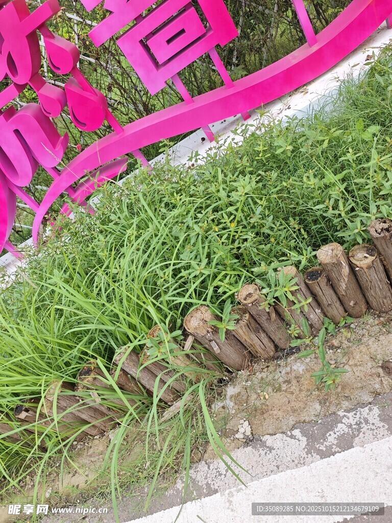粉色标识旁的绿植景观