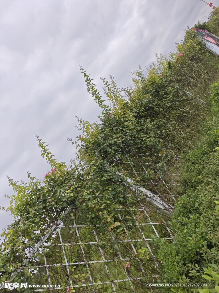 户外绿植攀爬网状围栏