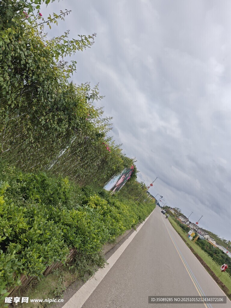 乡间小路绿意盎然