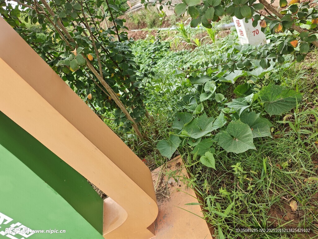 户外绿植环绕的木质结构