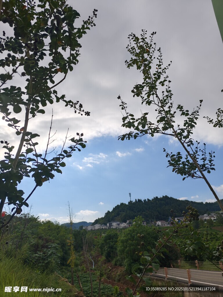山间景致绿树蓝天相衬