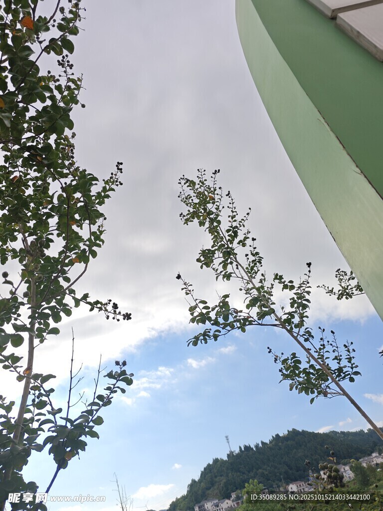 绿树掩映下的天空一角