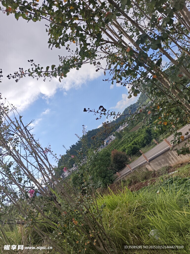 山间绿意盎然的自然景致