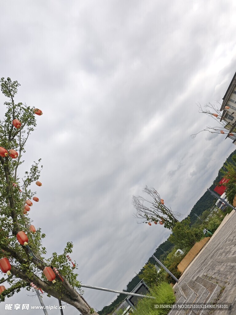 枝头石榴与远处风景