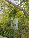 被绿植环绕的隐秘小屋