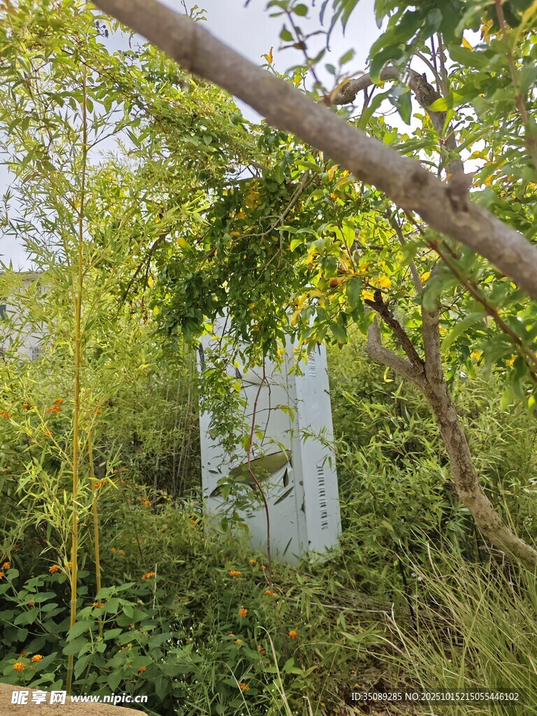 被绿植环绕的隐秘小屋