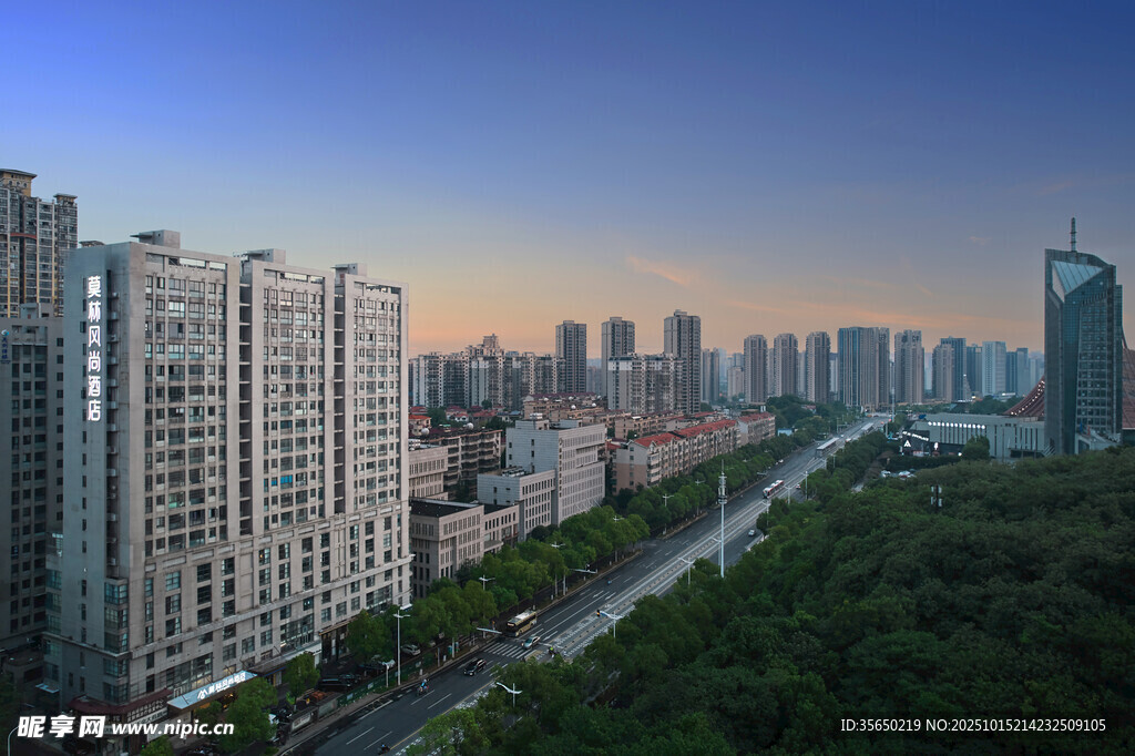 城市天际线与绿树景观