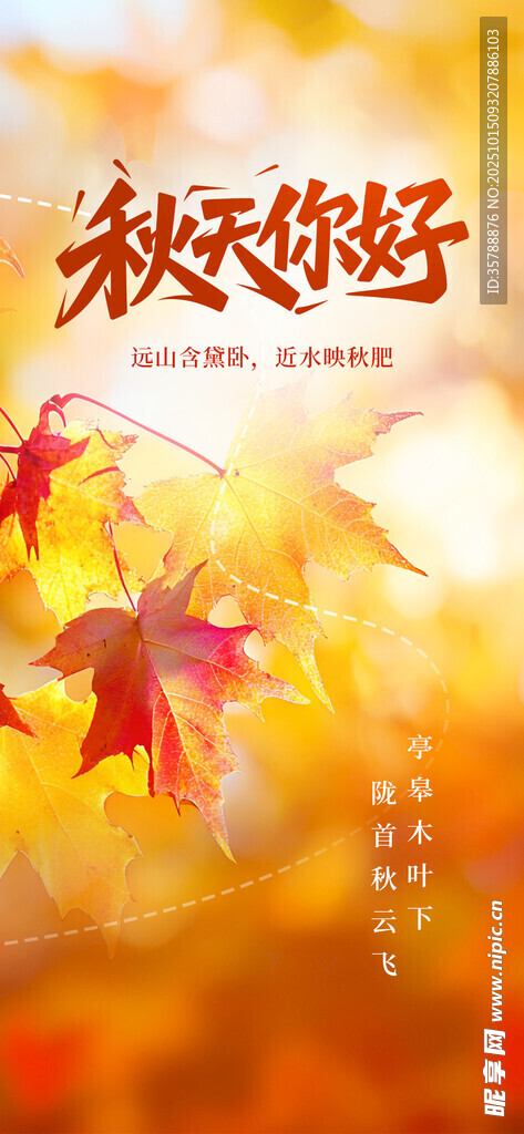 秋天奔跑   畅享美好时光
