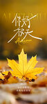 秋日枫叶   邂逅诗意美好