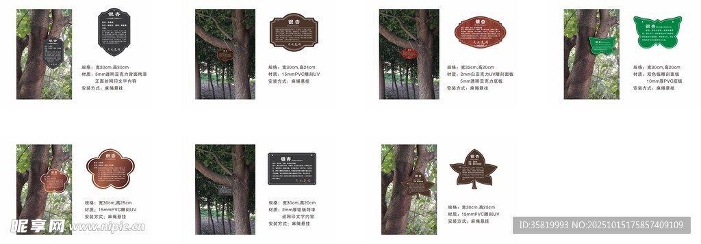 树牌效果