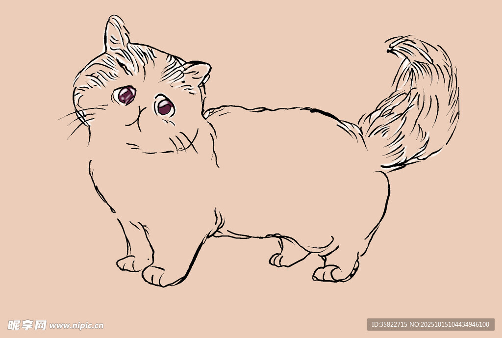 手绘可爱猫咪姿态图