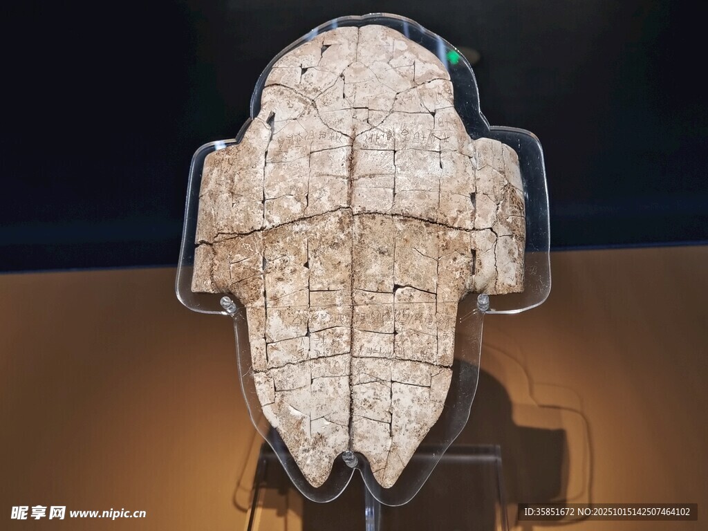 古代龟甲文物展示