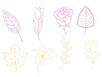 花卉叶子线条插画 