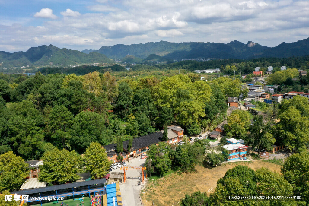 乡村绿意盎然的美丽景致