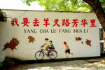 少年骑行墙前励志画面