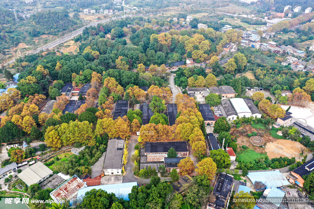 秋日山林中的建筑景观
