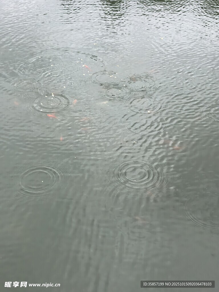 雨滴落水面泛起的涟漪