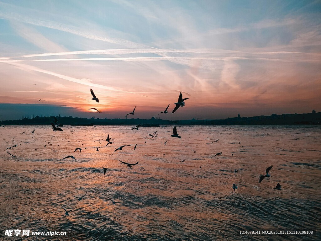 夕阳下飞鸟翔于波光湖面