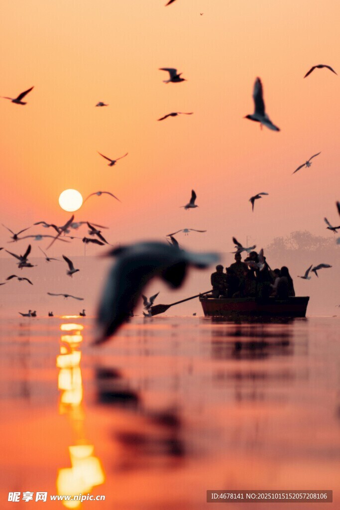 夕阳下飞鸟与水面船只