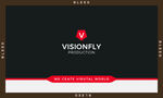 Visionly品牌标识展示