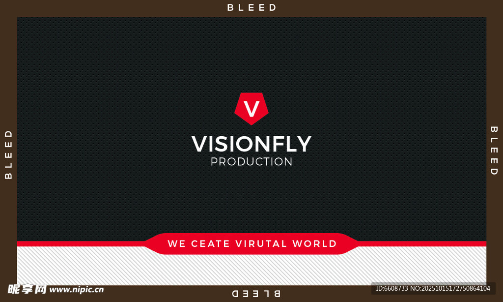 Visionly品牌标识展示