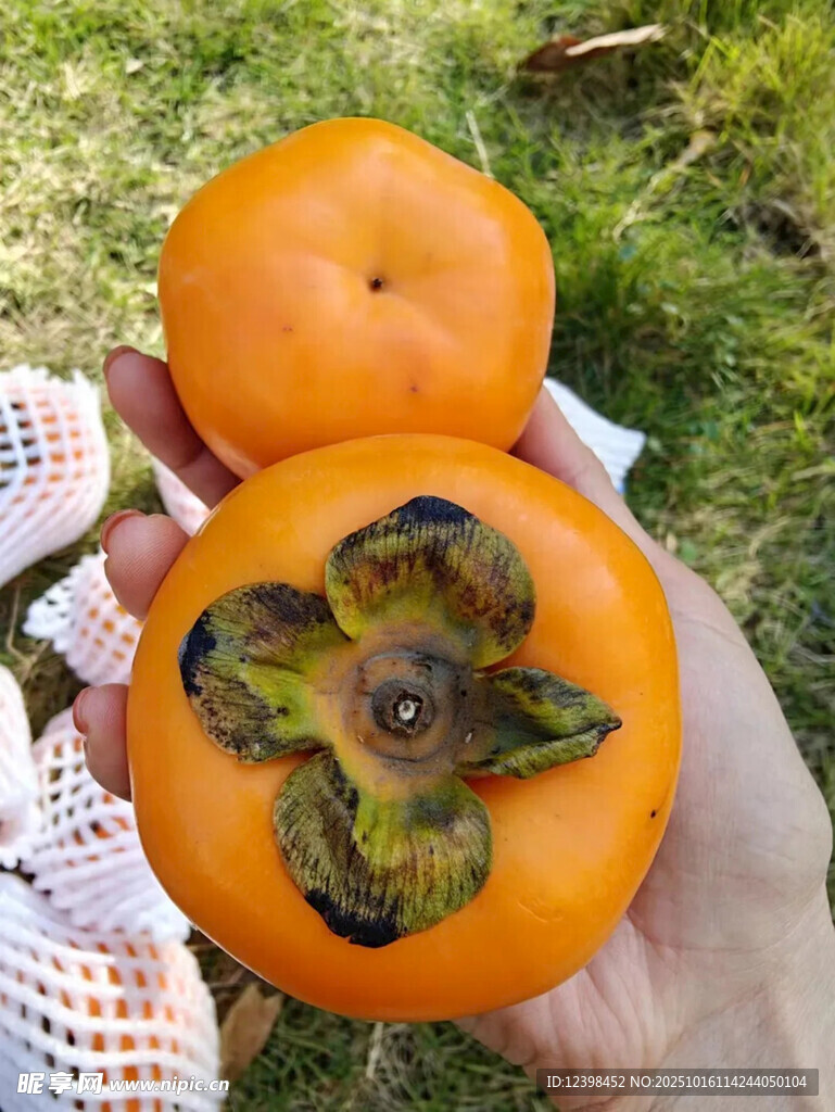 手中的新鲜柿子