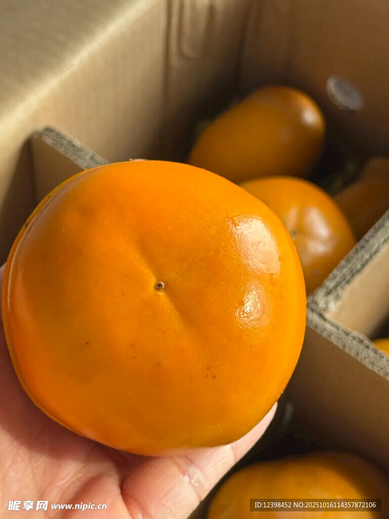 手捧新鲜橙黄色柿子