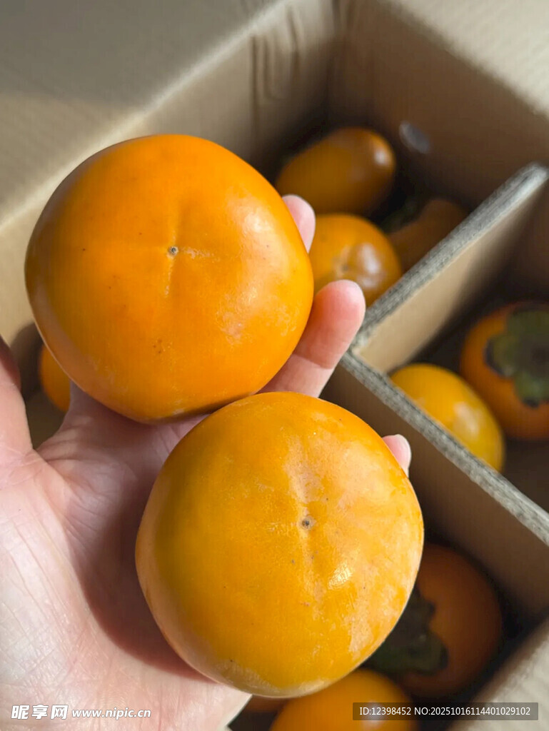 手捧箱中新鲜甜柿子
