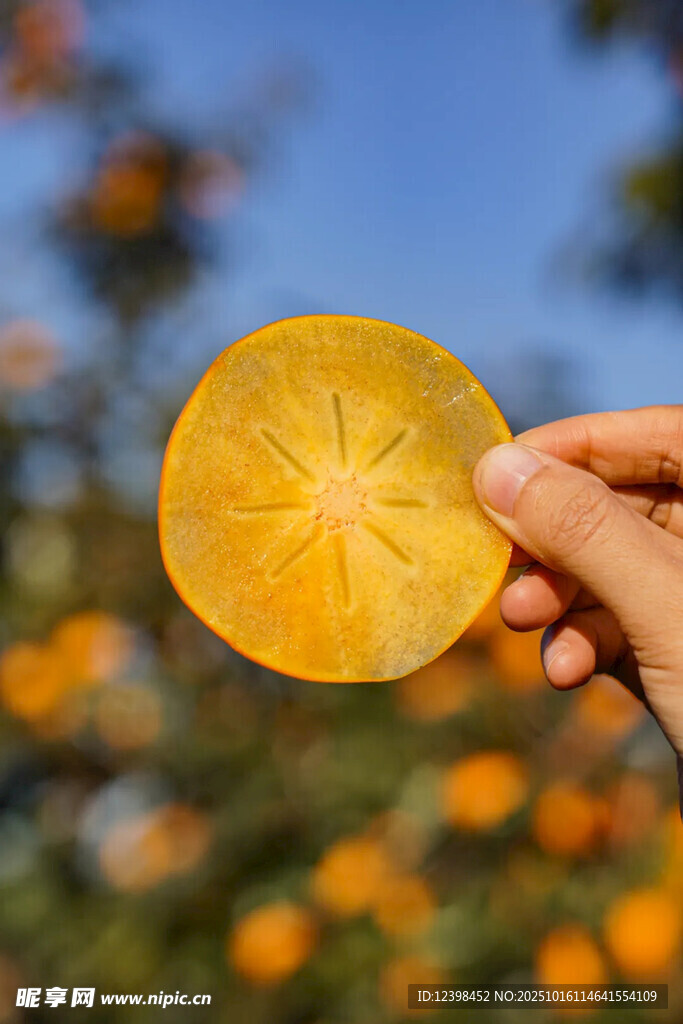 手捧切片金黄柿子