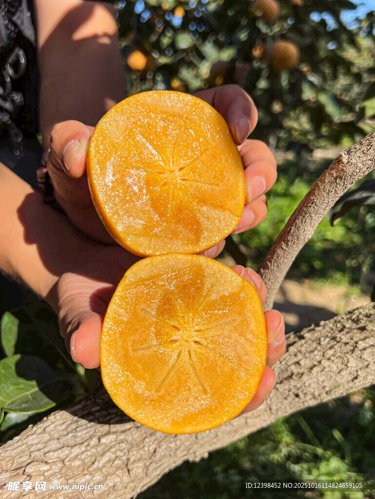 手捧切开的新鲜黄橙