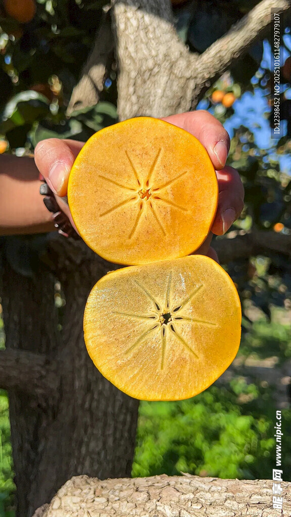 手捧切开的橙黄色水果