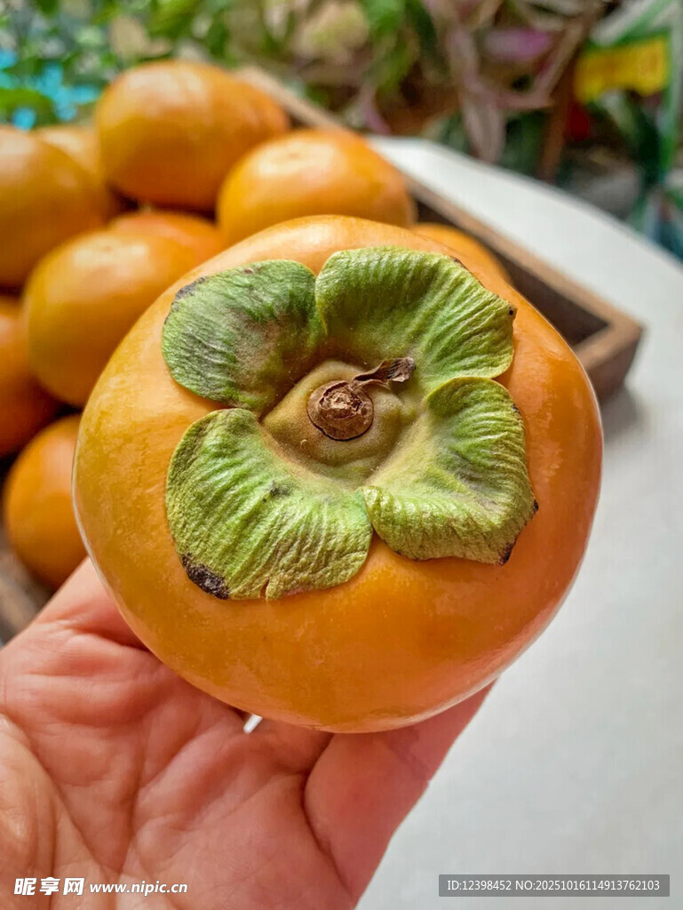 手捧鲜橙柿子