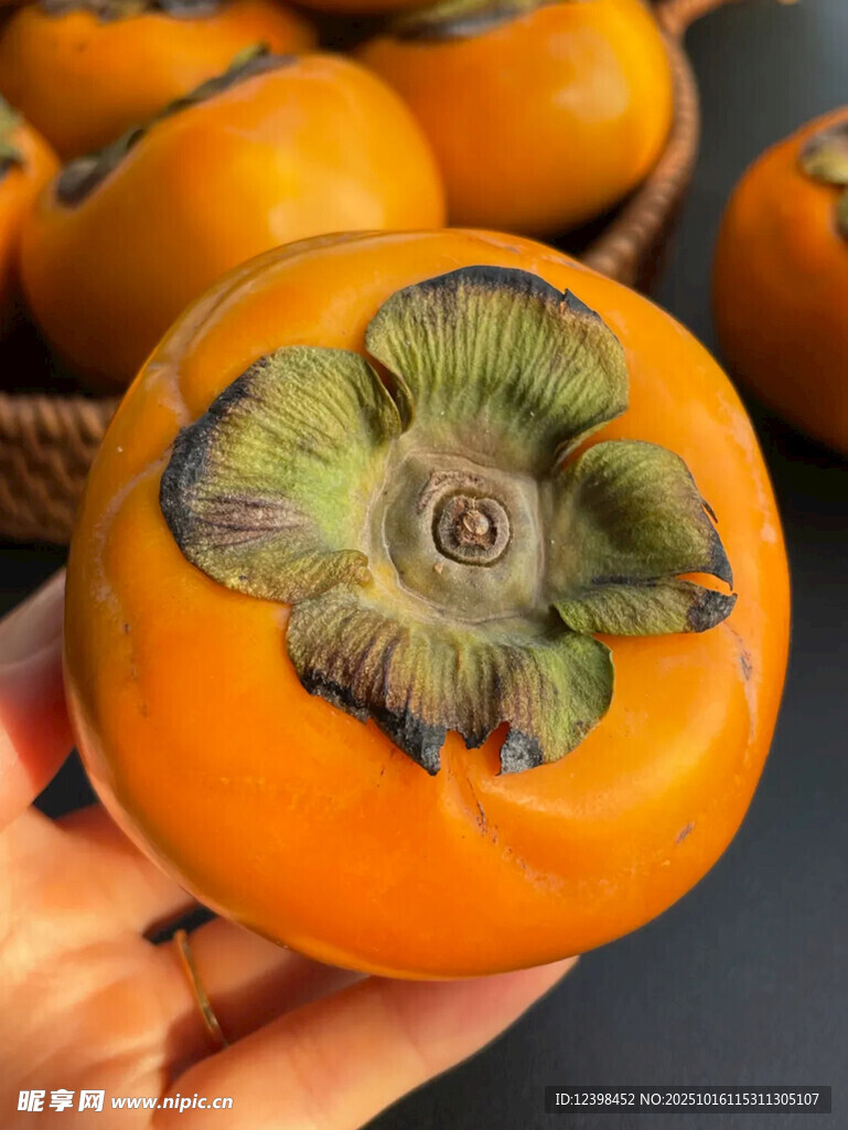 手捧橙黄柿子特写