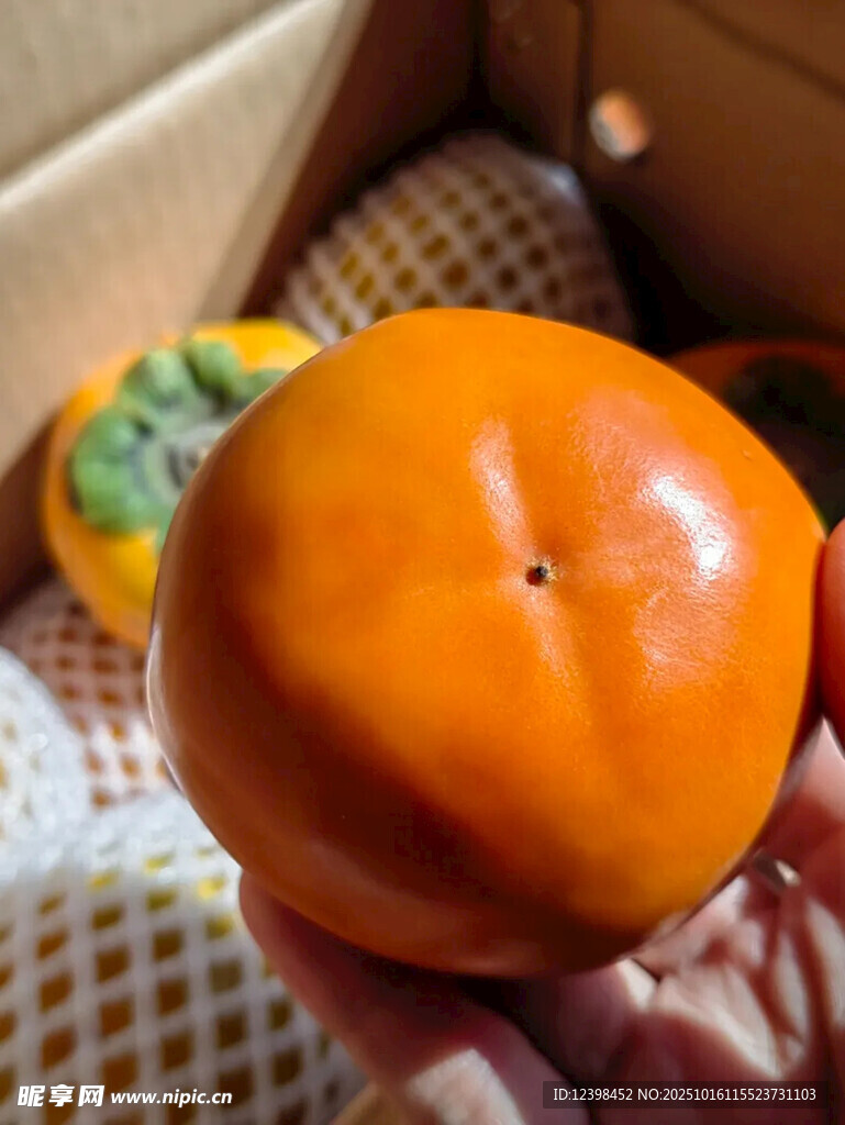 手捧圆润橙黄柿子