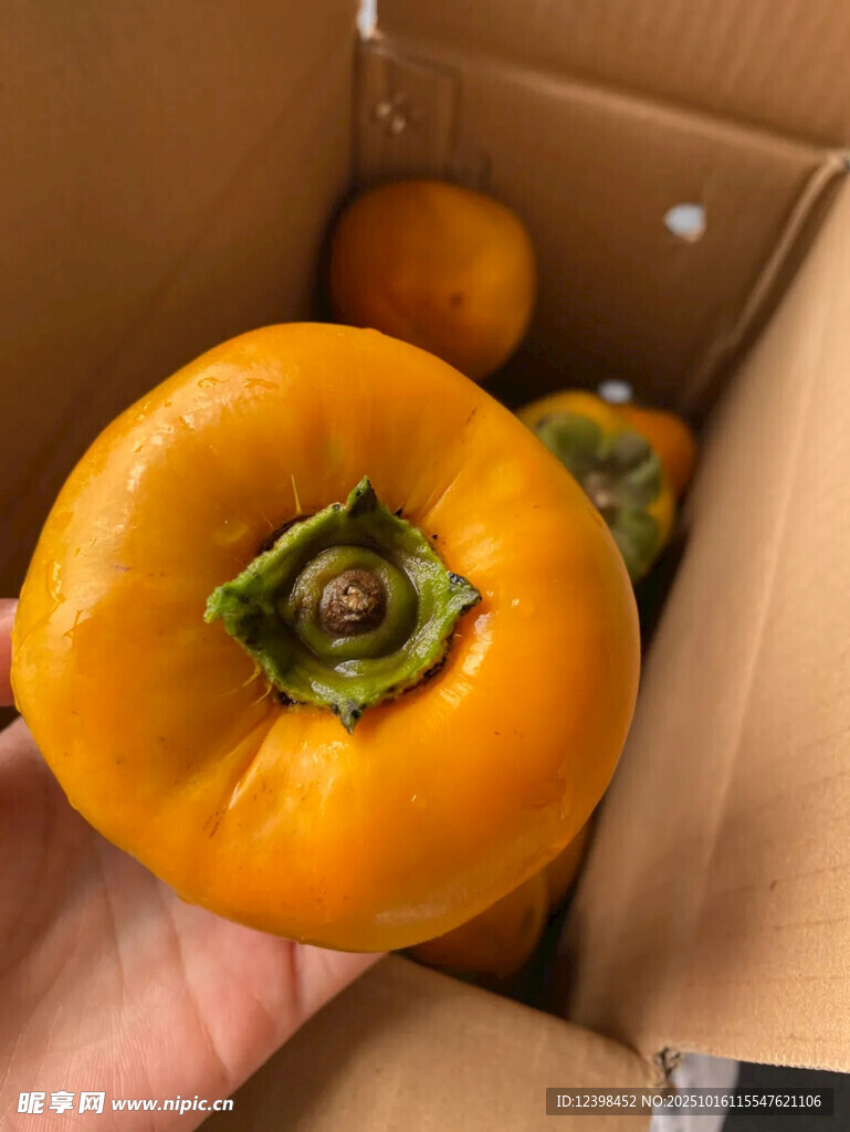 手中黄柿子与箱中柿子