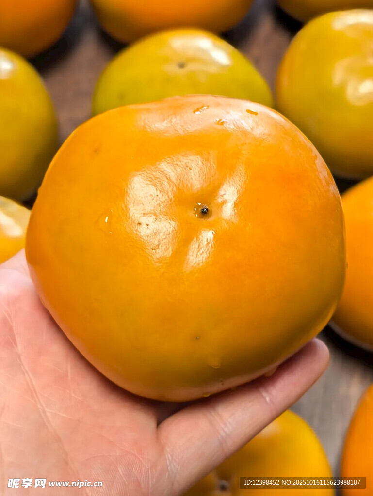 手捧饱满橙黄色大柿子