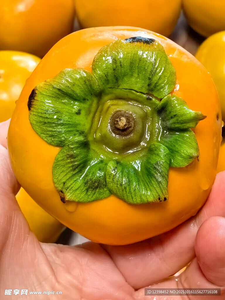 手捧鲜橙柿子