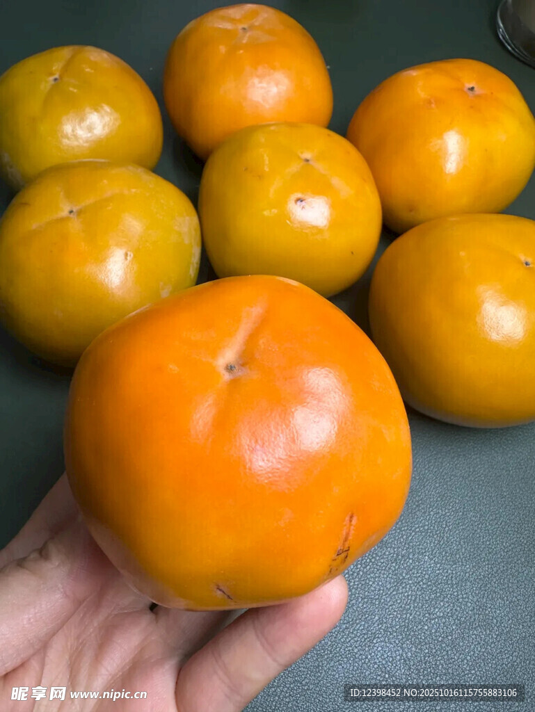 手捧圆润饱满的新鲜柿子