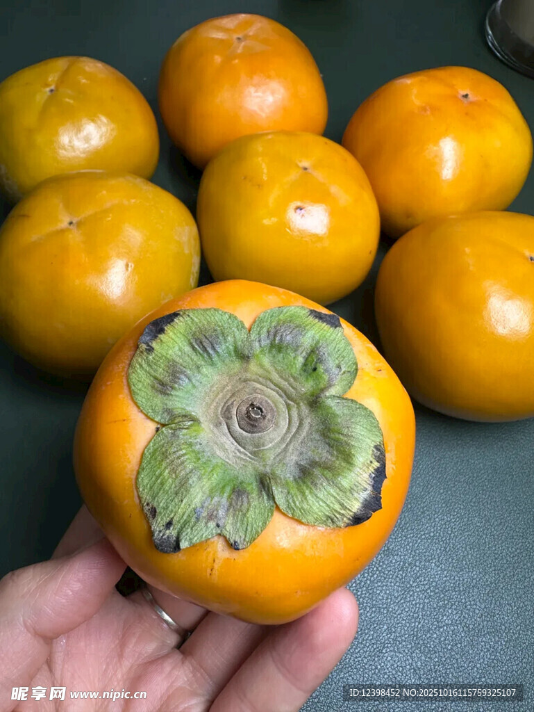 手捧新鲜柿子