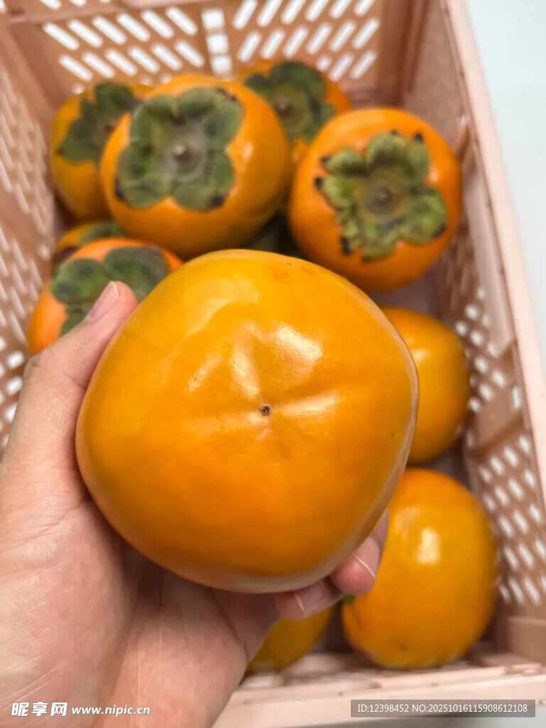 手捧新鲜柿子