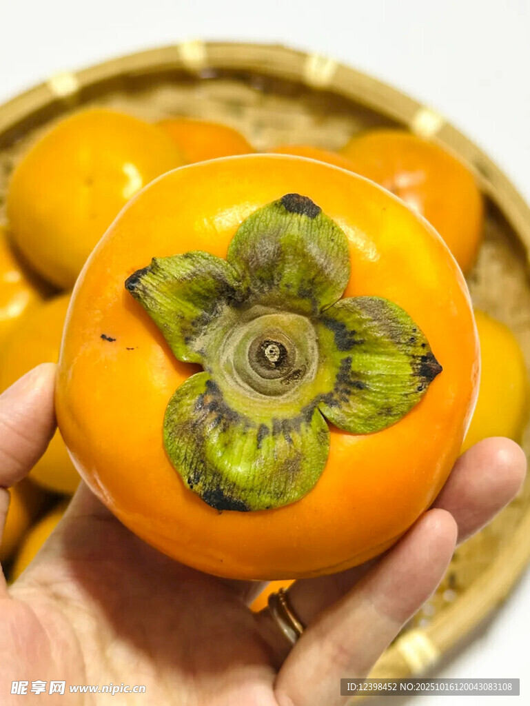手捧鲜橙柿子
