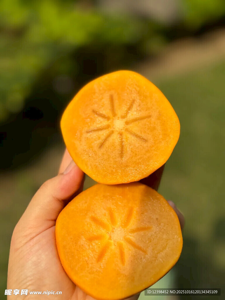 手捧切开的橙黄色柿子