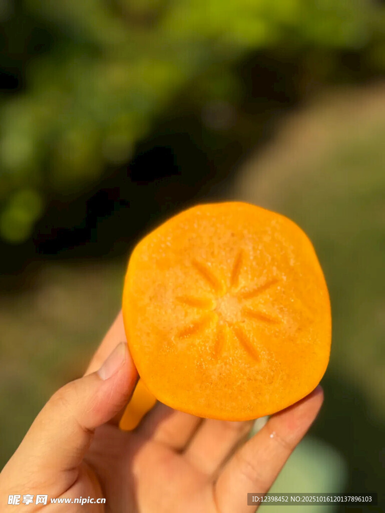 手捧切开的新鲜黄柿子