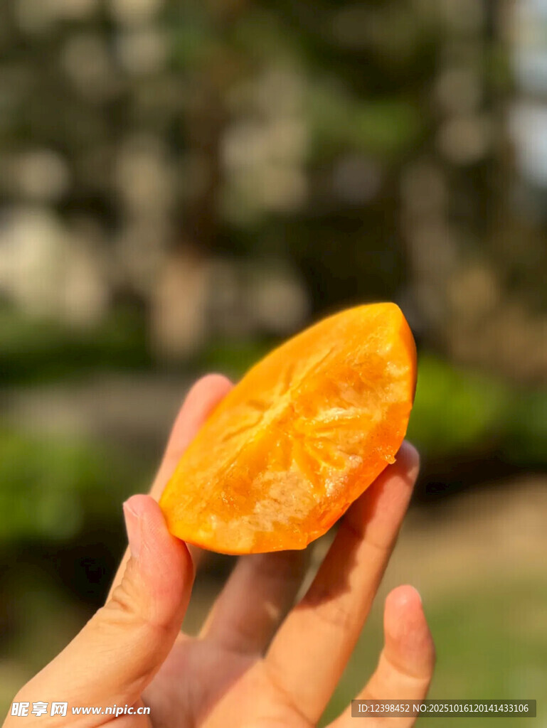 柿子