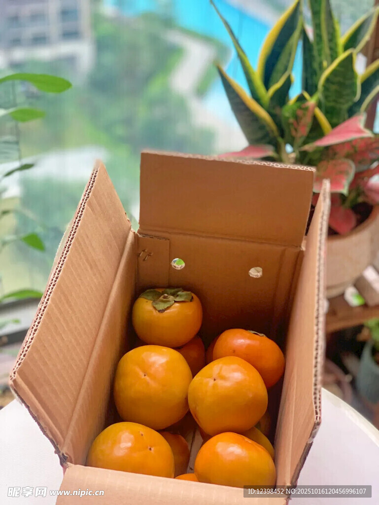 纸箱中的新鲜橙色水果